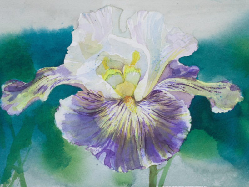 Workshop «Watercolor painting. Flowers»